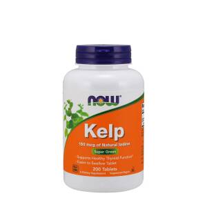 Alga kelp