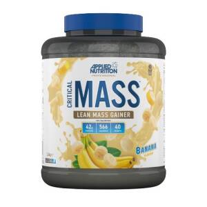Critical Mass - Professional