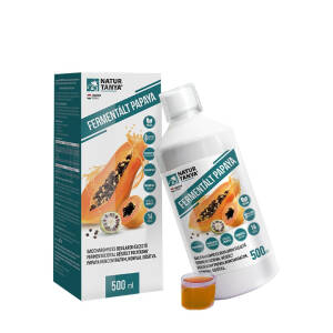 Natur Tanya Fermented Papaya Concentrate (500 ml) - Nuvalia