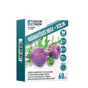 Natur Tanya Milk Thistle Max + Kolin (60 Tablets) - Nuvalia