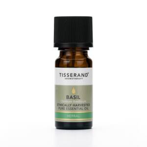 TISSERAND AROMATHERAPY Basil Ethically Harvested Oil (30 ml / 1 fl. oz.) - Nuvalia